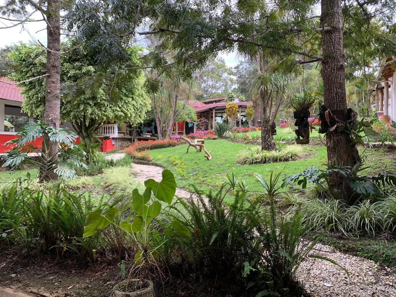 Jardines tropicales del hotel
