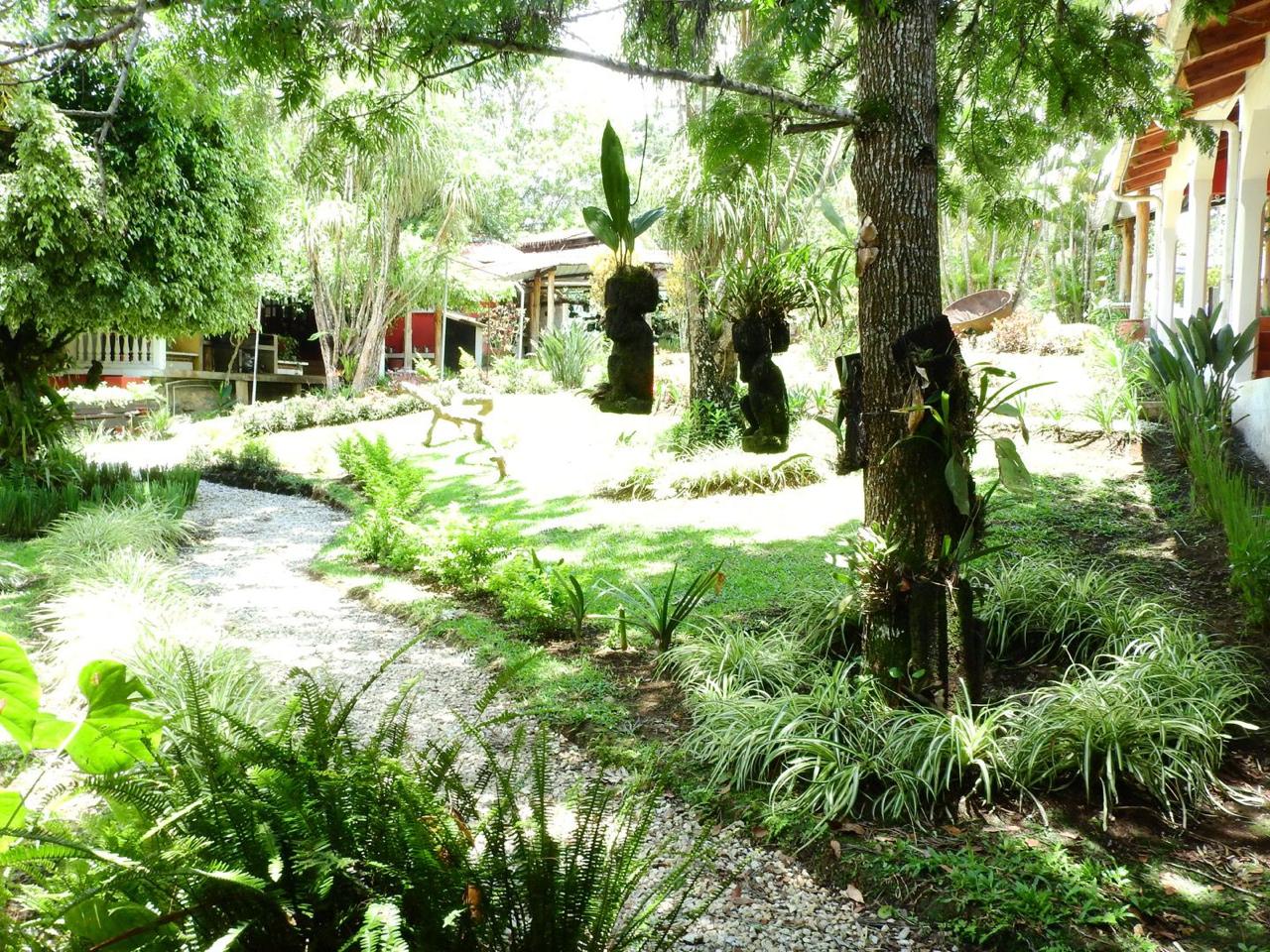 Jardin con arboles